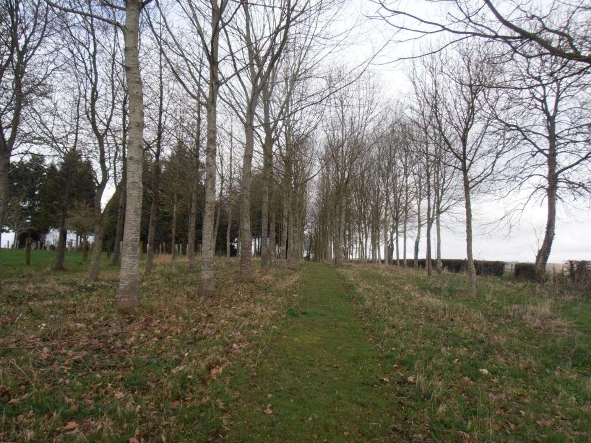 Gîte Saint-Pierre-la-Rivière, 4 pièces, 5 personnes - FR-1-497-5 Esterno foto